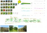 http://www.epifita.com.ar/files/gimgs/th-32_Colegiales -  Lamina 03 - Vegetacion Web.jpg